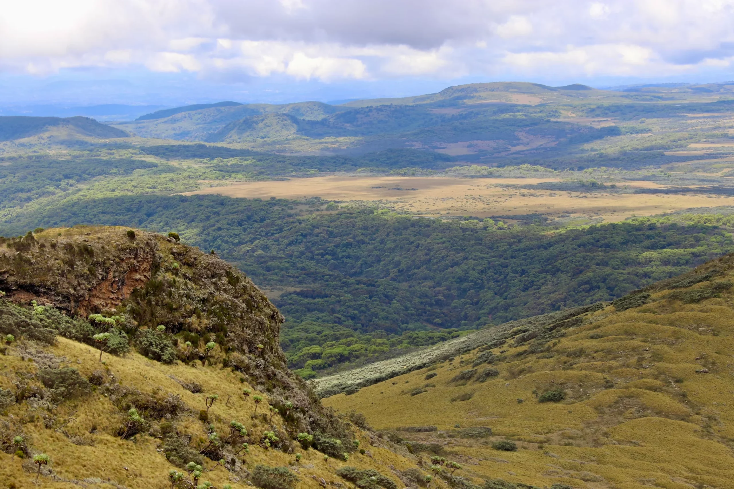 The Untamed Majesty of the Aberdares: Hiking, Wildlife, and Mountain Mystique in Kenya’s Highlands