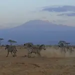 Lake Nakuru National Park: 10 Unforgettable Reasons Why This Safari Paradise Will Capture Your Heart