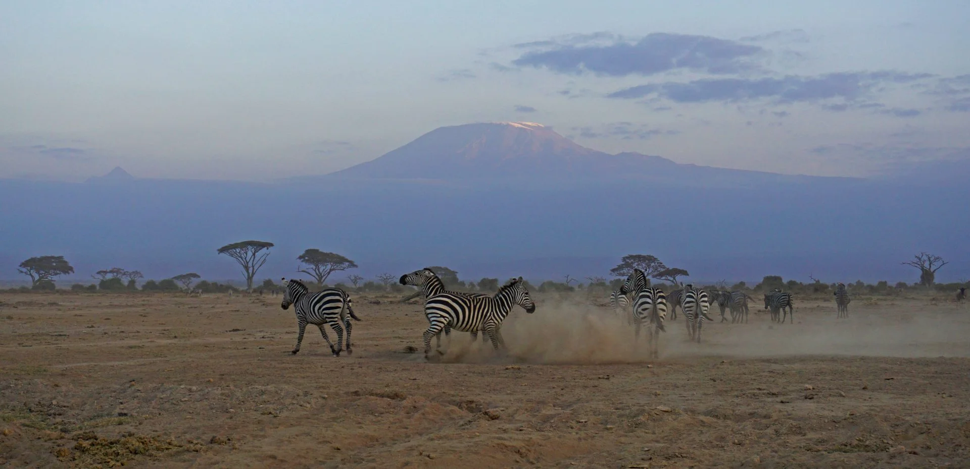 10 Epic Adventures in Amboseli to Supercharge Your African Wildlife Journey