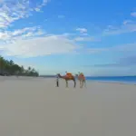 7 Unforgettable Beaches in Zanzibar: Ultimate Guide to Sun, Sea, and Sand in Paradise!