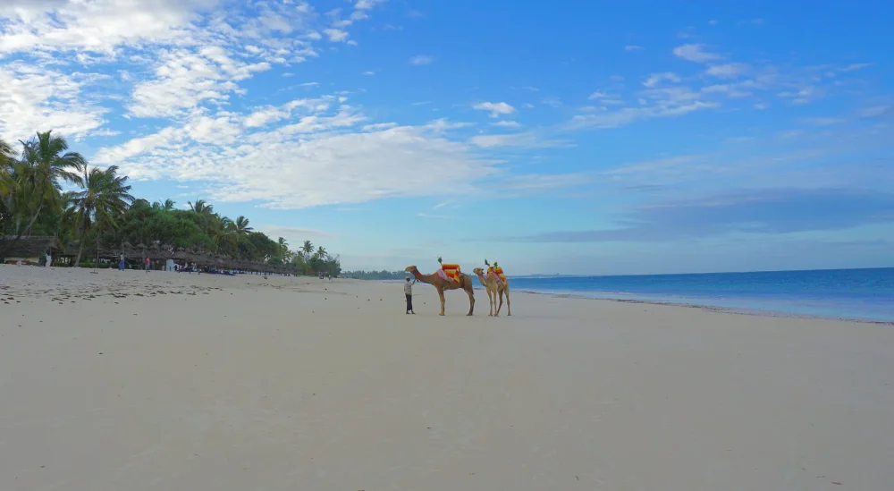 25 Reasons Why Diani is the Best Beach in Africa – Your Ultimate Blissful Vacation Paradise