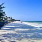 10 Epic “Mombasa Raha” Moments : Uncover Coastal Magic, Gourmet Delights & Timeless Culture