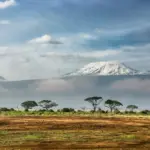 20 Magical Things to See and Do in Bwindi for the Ultimate Jungle Escape
