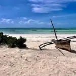 Lake Victoria Uncovered: Islands, Cultures, and Cuisine on East Africa’s Inland Ocean
