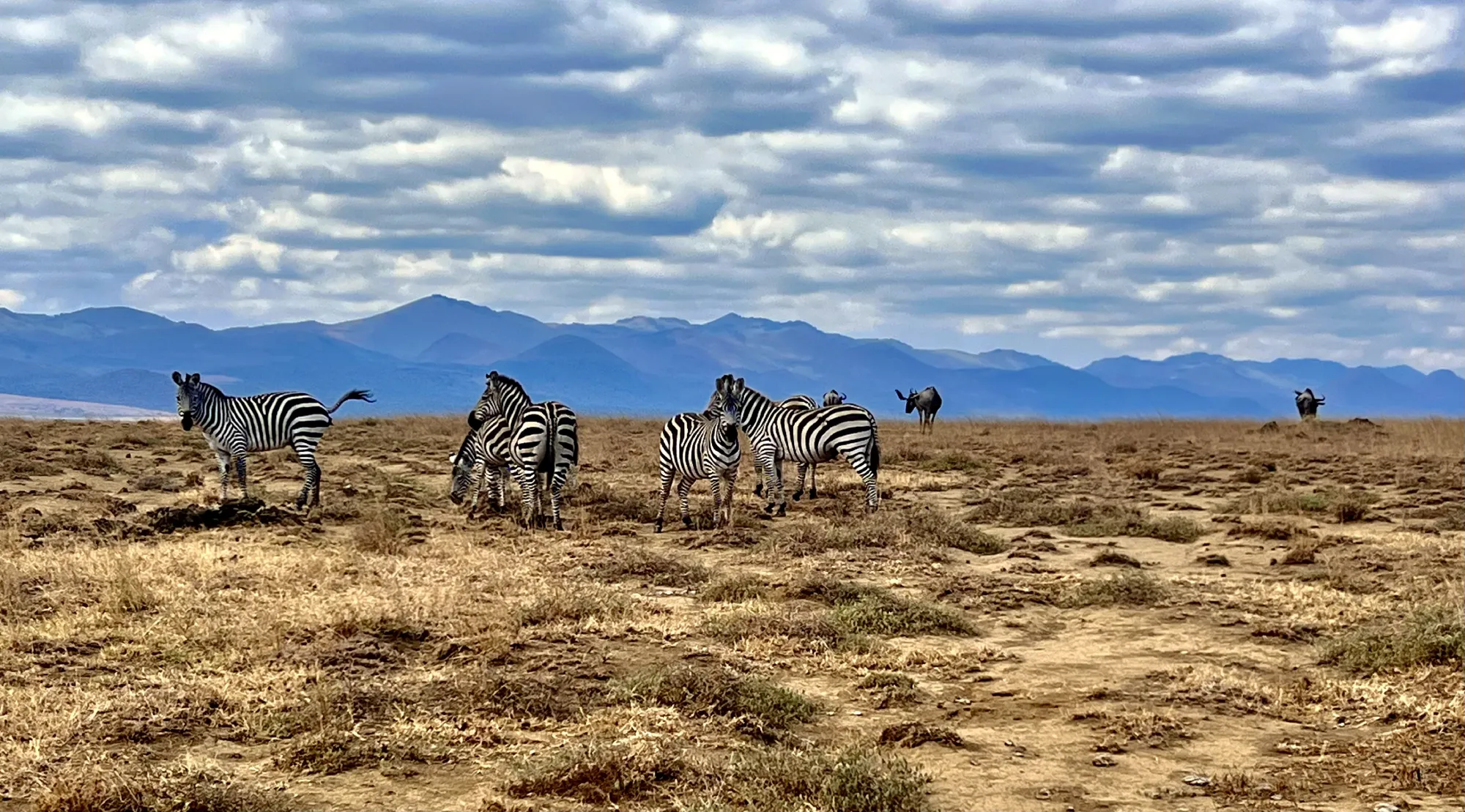 Into the Emerald Wild: Exploring Kenya’s Volcanic Chyulu Hills Where Elephants Roam and Kilimanjaro Looms