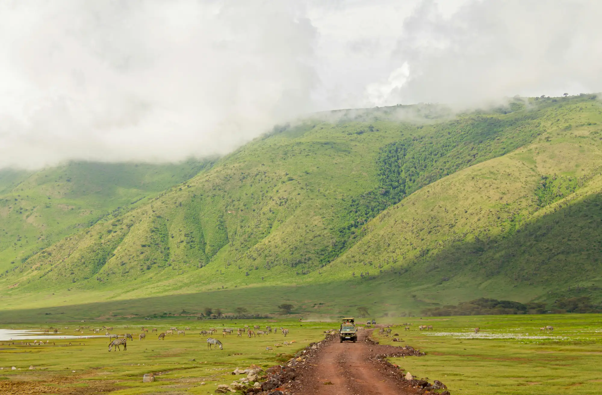 9 Epic Safari Moments in Ngorongoro: Where Nature, History, and Adventure Collide