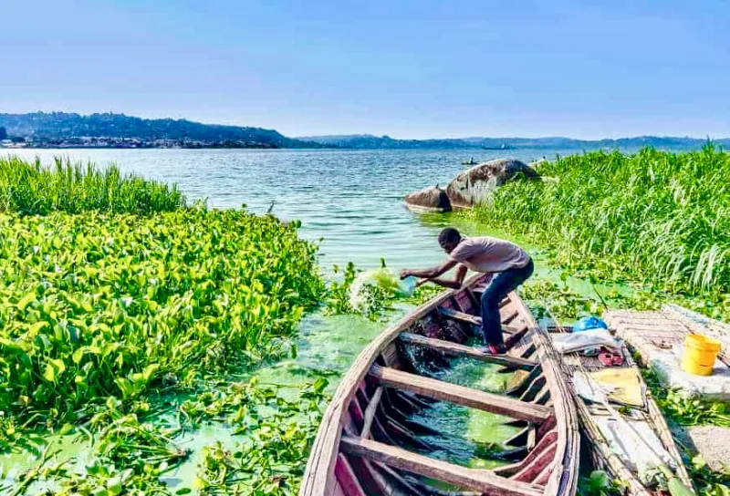 Ssese Island Lake Victoria