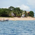 Coral and Trade Winds: Uncovering East Africa’s Swahili Cities